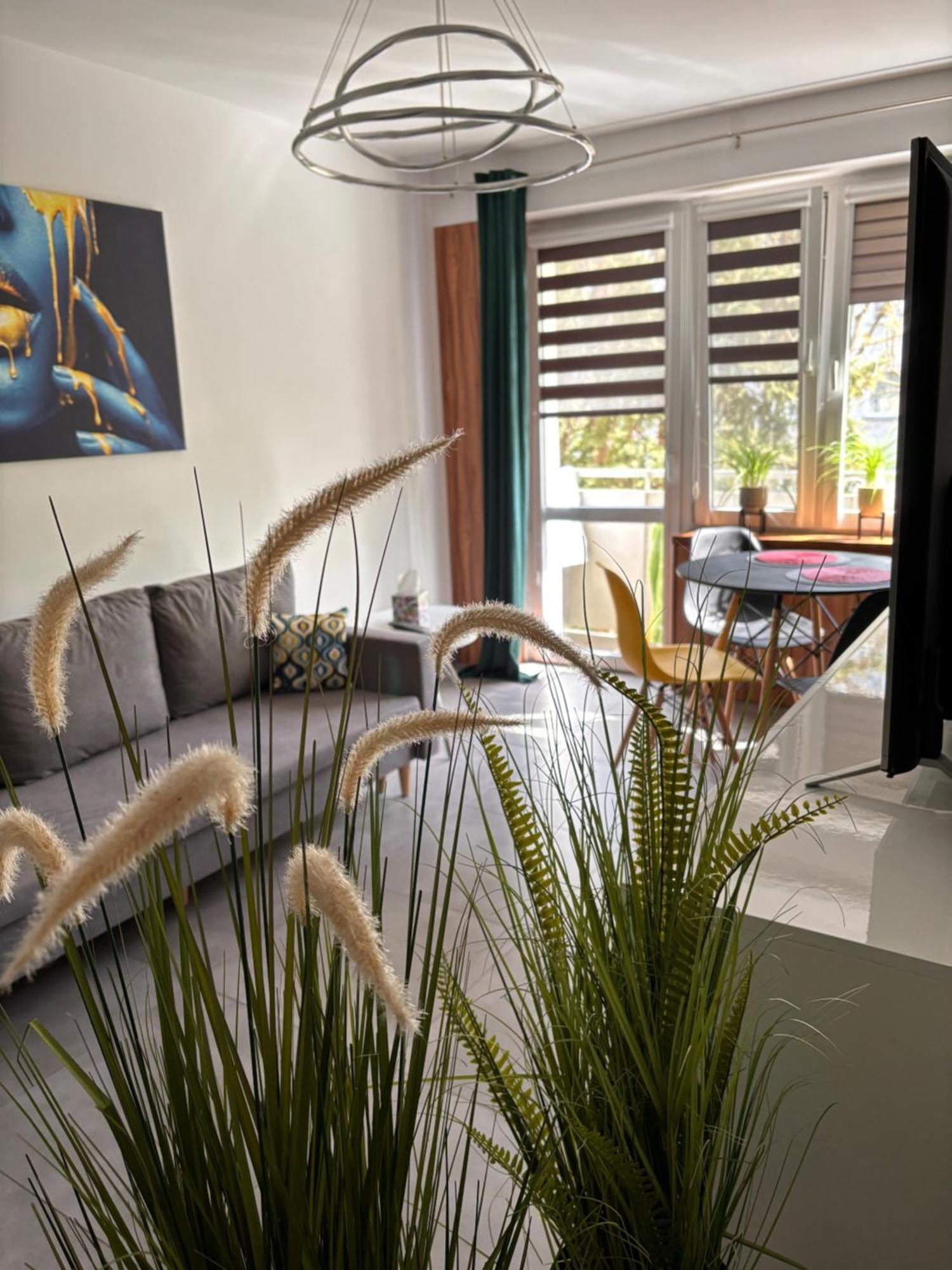 Apartament Teresa Nysa Extérieur photo